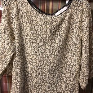 COPY - Loft Lace Top